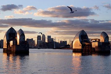 Seagulls over the Thames Barrier van Helga Novelli