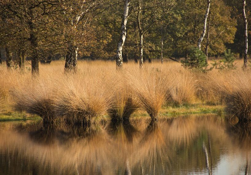 Zwaaiend in de spiegel by Wanda van Eck