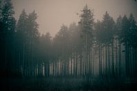 visible silence