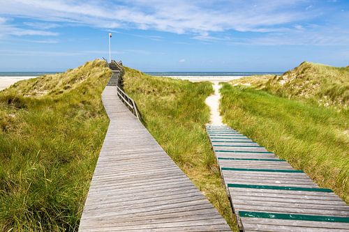 Amrum