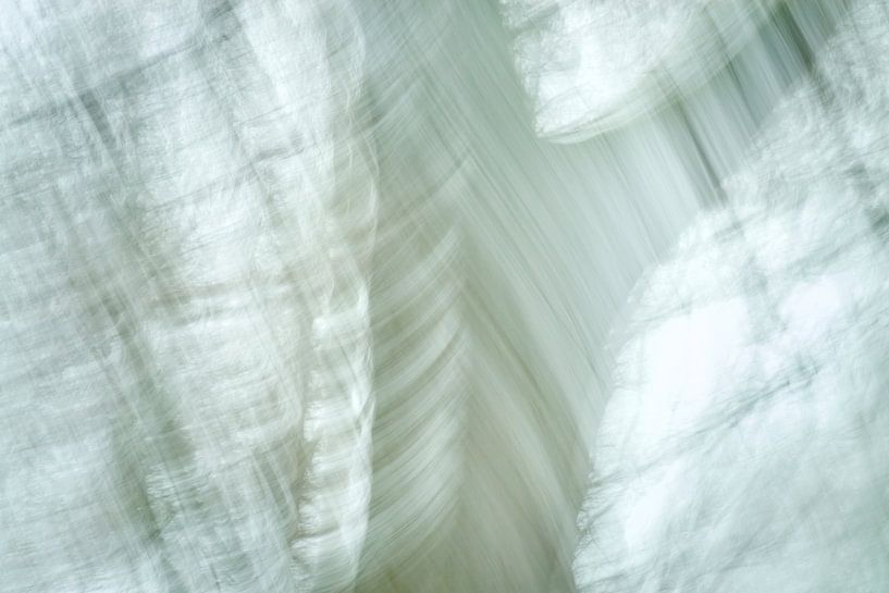 Dancing trees in motion by Jenco van Zalk