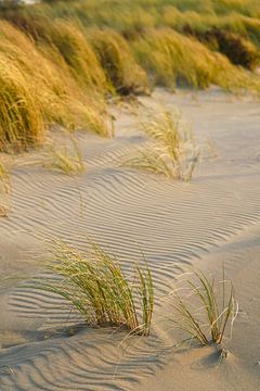 Strandleven! von Dirk van Egmond