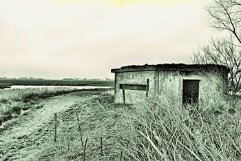 Vogelkijkhut Gaarkeuken