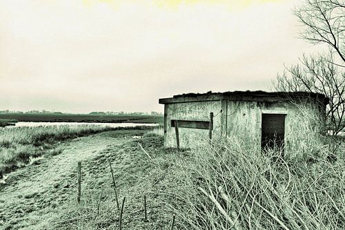 Vogelkijkhut Gaarkeuken