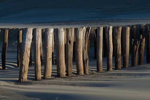 Chef de postes à l'heure d'or sur Zeeland op Foto