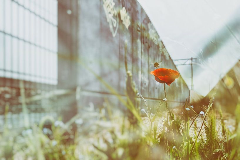 Nectar Moment by Karin van Bylevelt