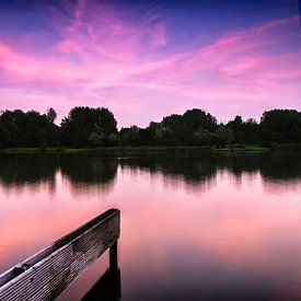 Avond in het Westerpark von Richard Bremer