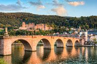 Heidelberg Alte Brücke und Schloss von Michael Valjak Miniaturansicht