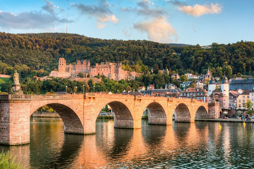 Le vieux pont et le château de Heidelberg par Michael Valjak