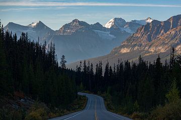The Icefields Parkway, also Alberta Highway 93 by Robinotof