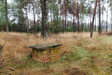 Abandoned well in the forrest