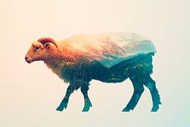 Sheep with landscape by Poster Art Shop