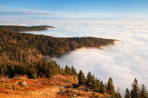 Sea of fog at Feldberg, Black Forest