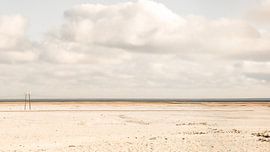 Desolate by Bekiekhet.nl