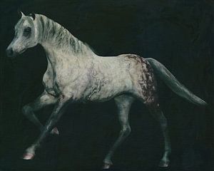 Arabisch paard in galop van Jan Keteleer