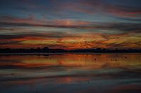 Weerspiegeling onder water gezet land Breezand