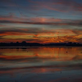 Reflection flooded land Breezand by Bernadette Alkemade-de Groot