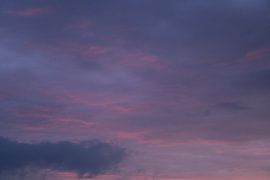 A pink candyfloss by Emmelot Linssen