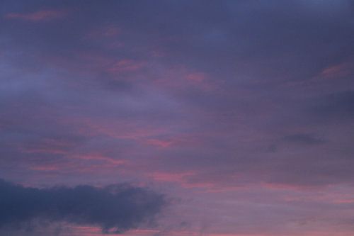 Eine rosa Zuckerwatte