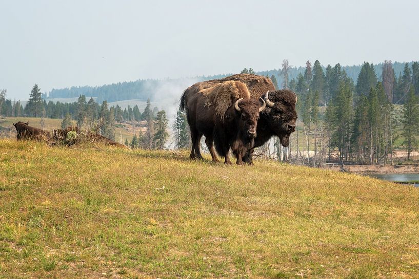 Yellowstone-Nationalpark von Studio Retouched fotoshop