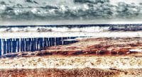 The sea coast