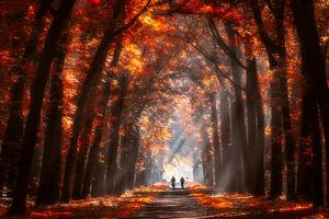 Herfst kleuren van Edwin Mooijaart