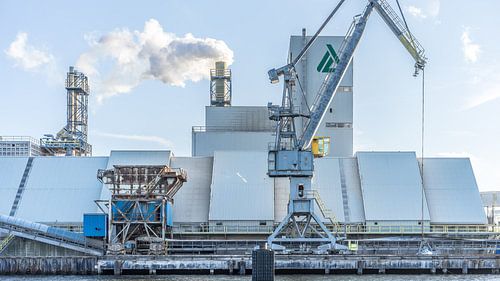 Coenhaven sur Maarten Drupsteen