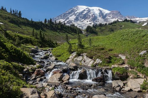 Mount Rainier
