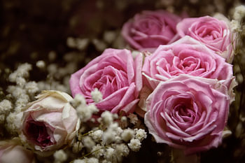 Bouquet of roses