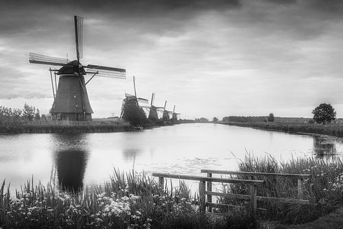 Windmolens in Nederland , zwart en wit.