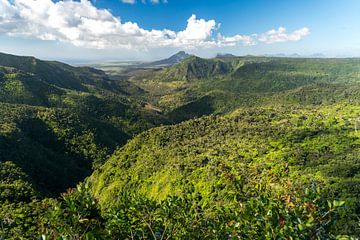 Black River Gorges National Park, Mauritius van Peter Schickert