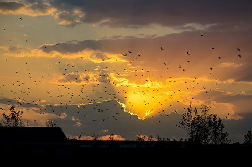 Zonsondergang van Cor Bak