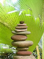Stone balance under palm trees