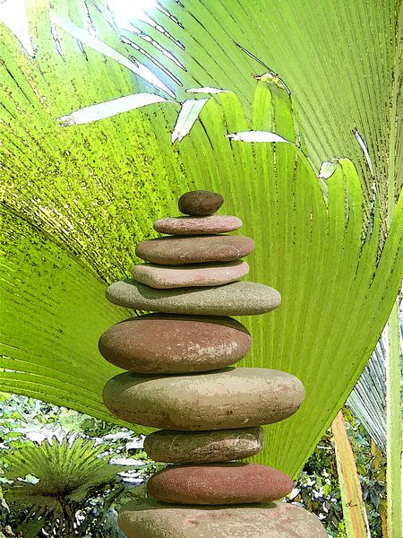 Steinbalance unter Palmen von Dirk H. Wendt