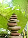 Équilibre des pierres sous les palmiers par Dirk H. Wendt Aperçu