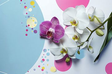 Orchideeën van Felix Brönnimann
