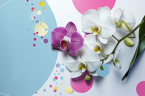 Orchidées