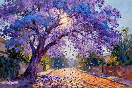 The jacaranda in full bloom