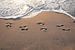 Fußstapfen im Sand. von Justin Sinner Pictures ( Fotograaf op Texel)