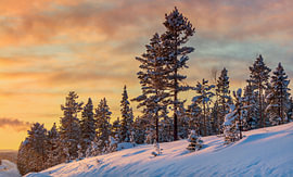 Winter in Northern Sweden by Adelheid Smitt