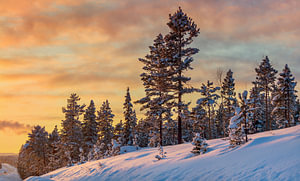 Winter in Nordschweden
