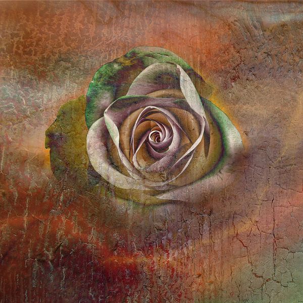 vergängliche Rose in Rost und Terrakotta von Claudia Gründler