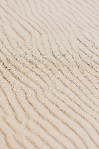 Sandwellen von Elise van Gils