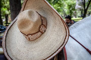 Sombrero en paard in Mexico City