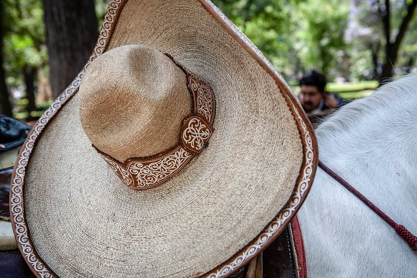 Sombrero et cheval à Mexico par Eric van Nieuwland