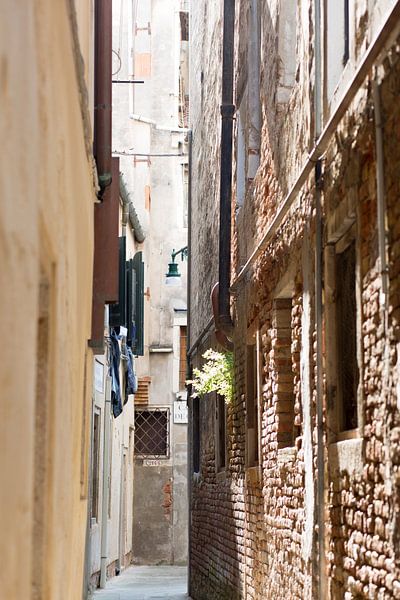 Burano - Venice by heidi borgart