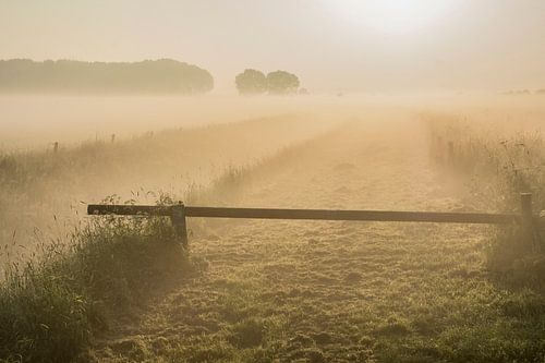 Chemin mystique