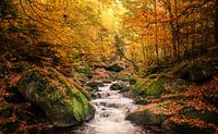 Autumn is in the Ilse Valley