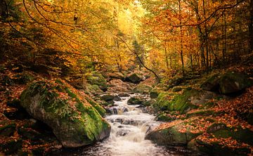 Herfst in de Ilsevallei van Steffen Henze