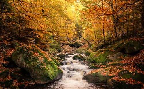 Der Herbst ist im Ilsetal